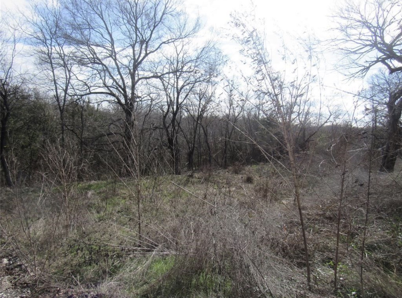 216 E Parnell st, Dension, TX 75021